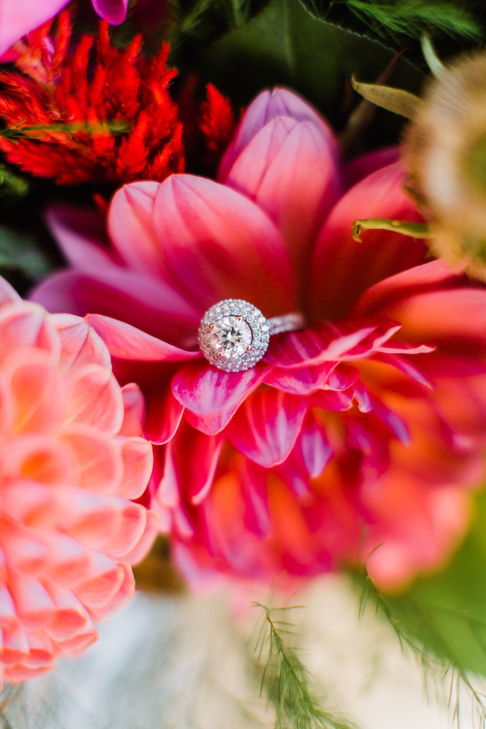 wedding-submission-from-danielle-bacon