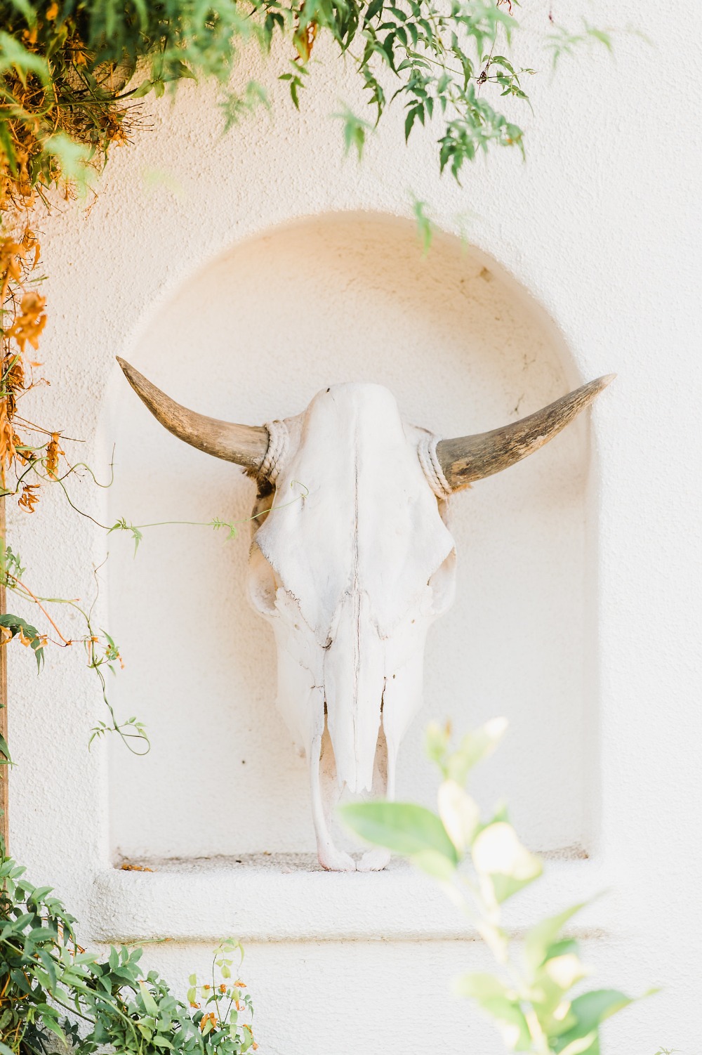 wedding-submission-from-danielle-bacon