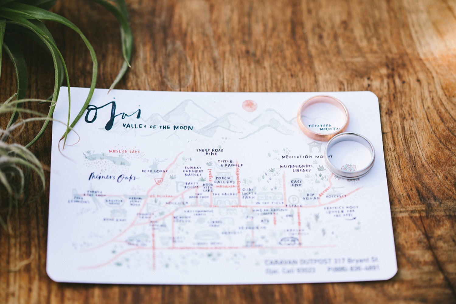 wedding-submission-from-diana-sabb