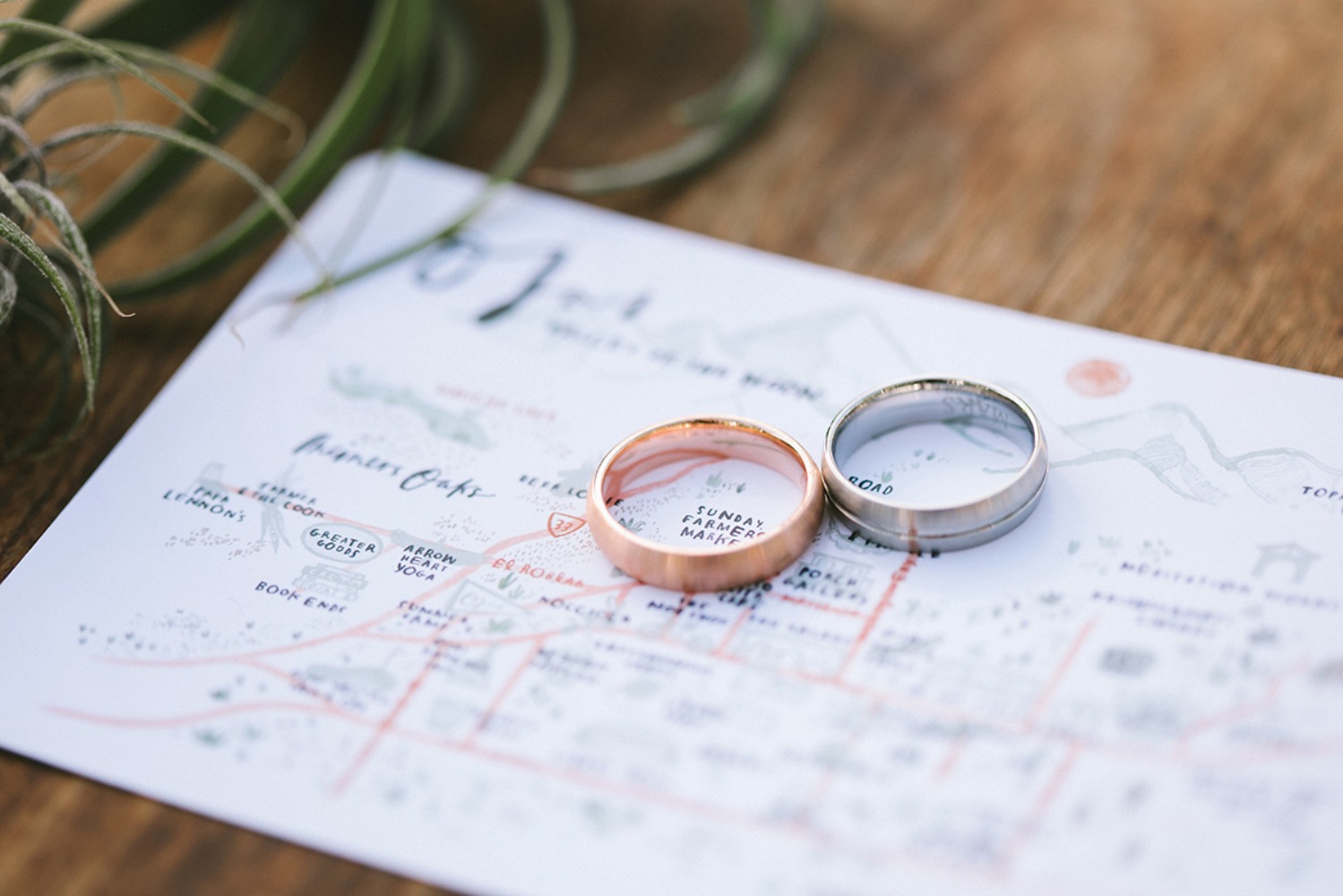 wedding-submission-from-diana-sabb