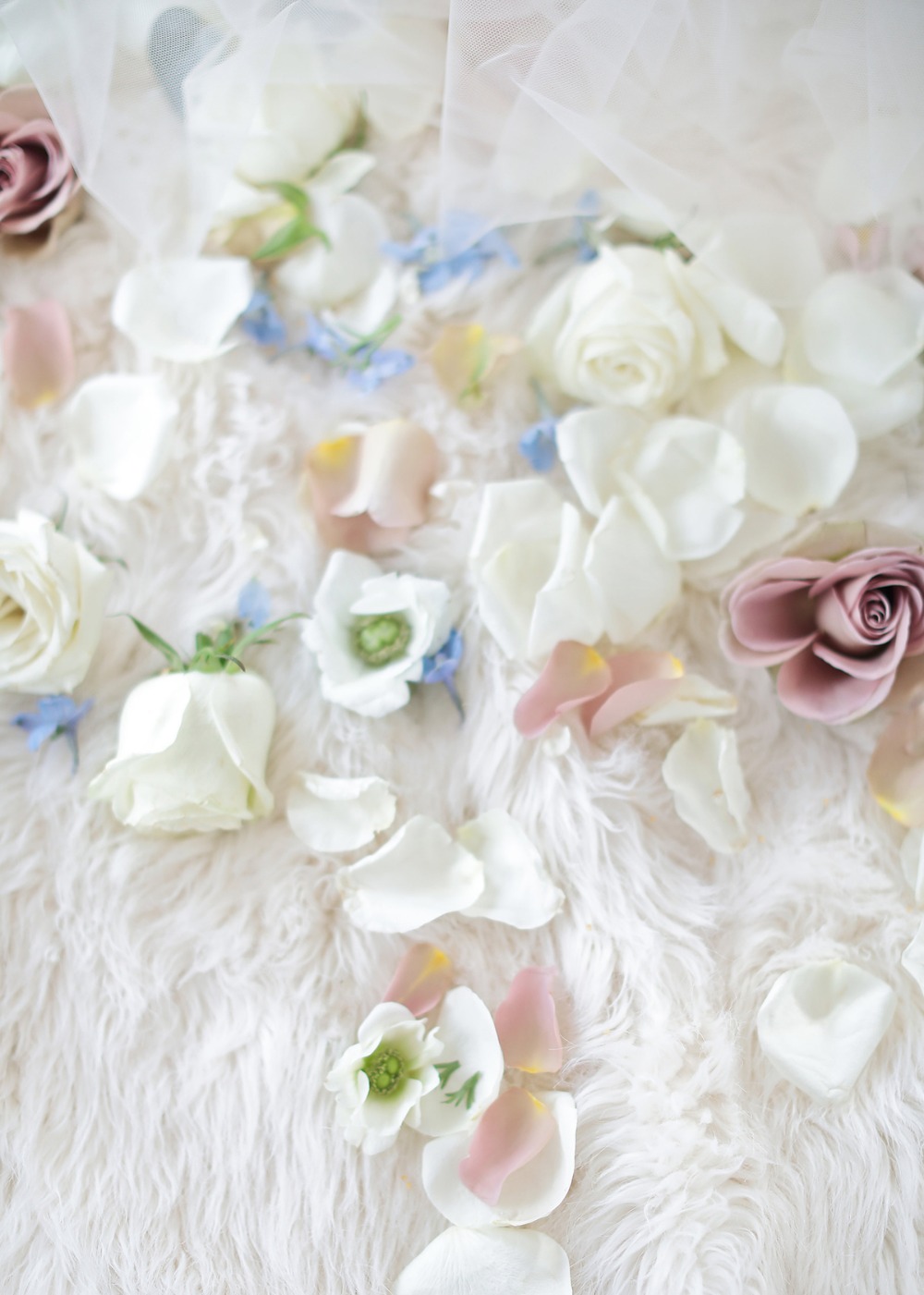 wedding-submission-from-facibeni