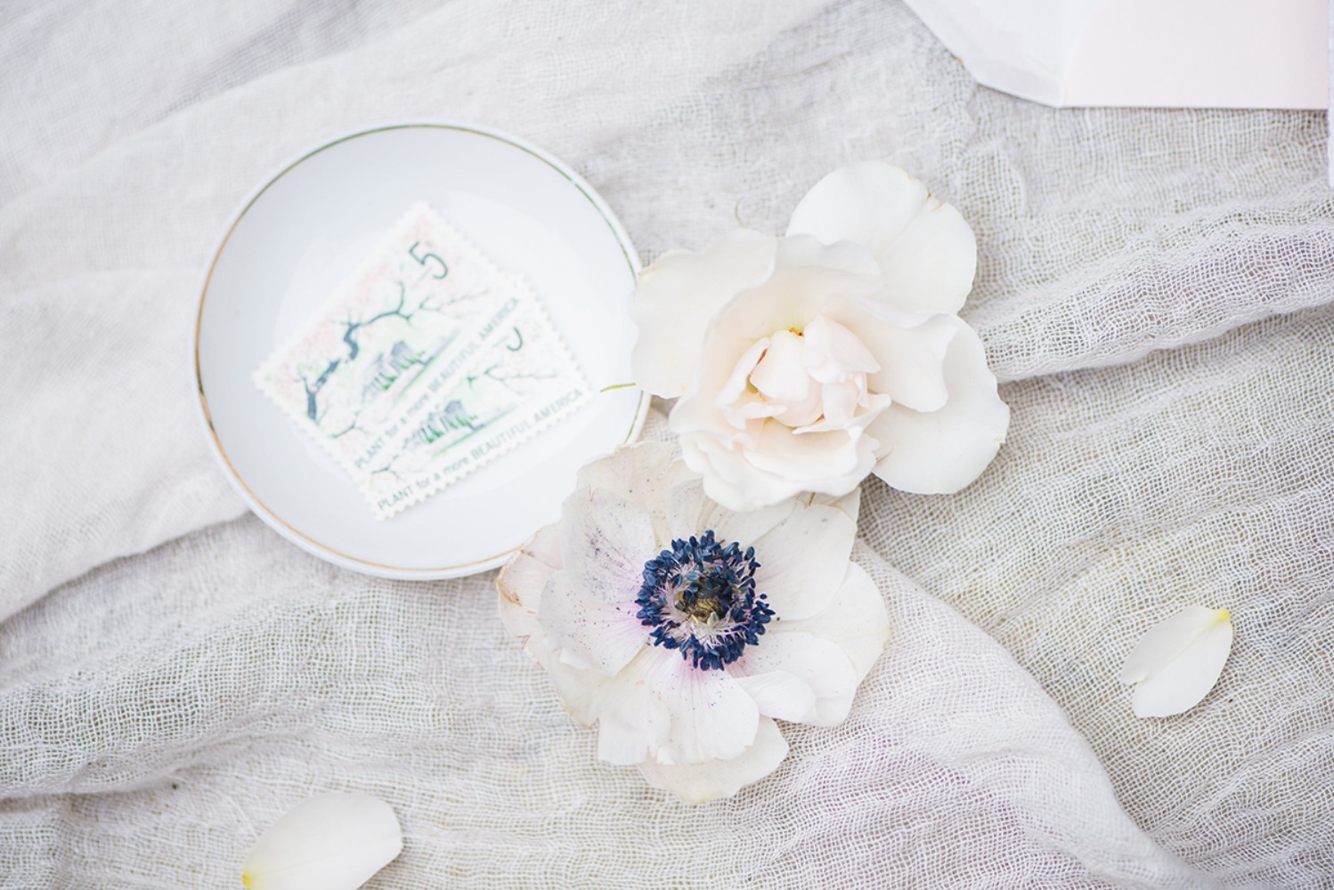 wedding-submission-from-hannah-roberts