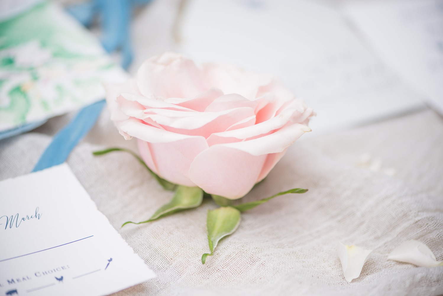 wedding-submission-from-hannah-roberts