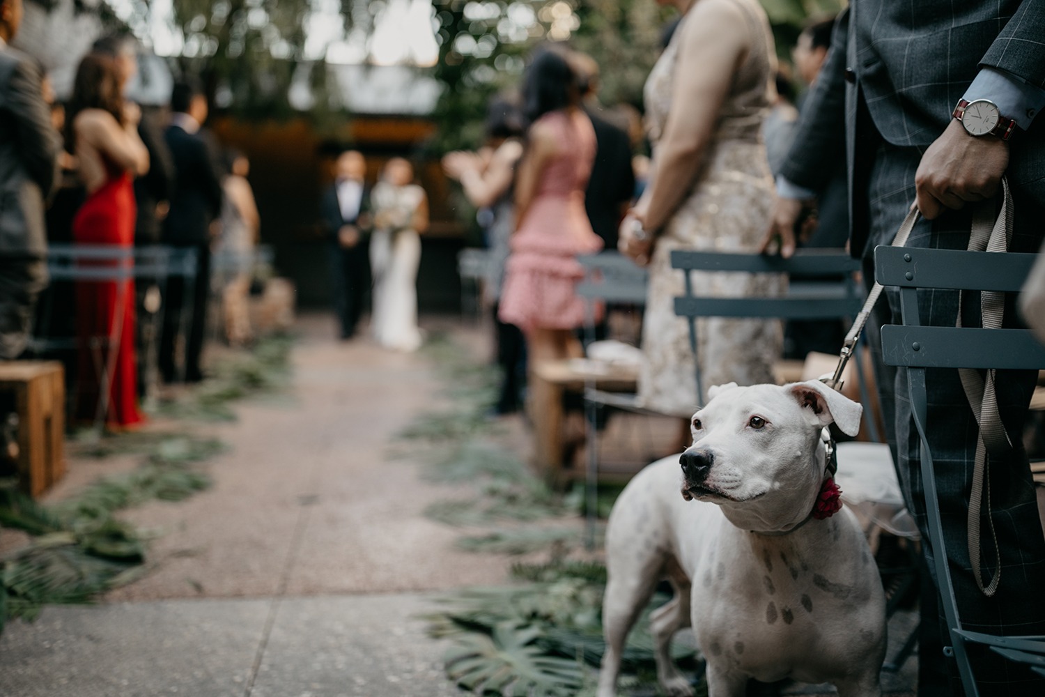 wedding-submission-from-lucky-day