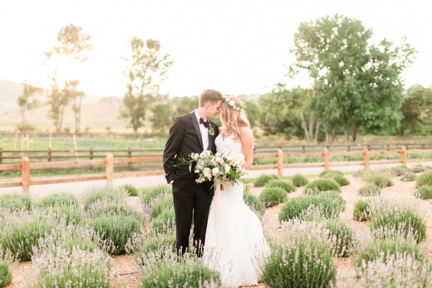 wedding-submission-from-sarah-hill