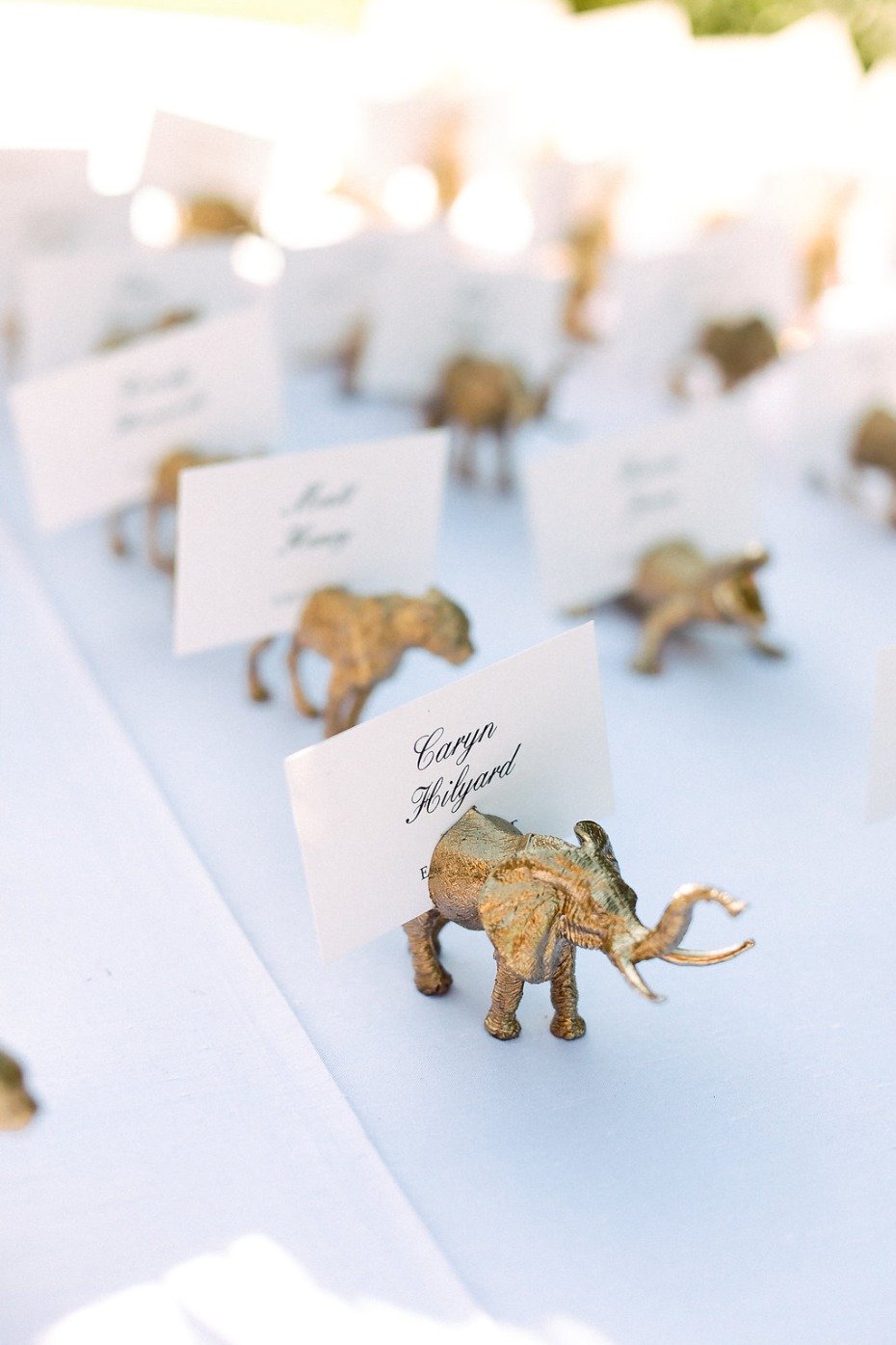 Party animal escort cards