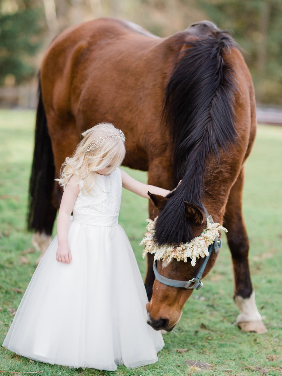 flower girl and wedding horse
