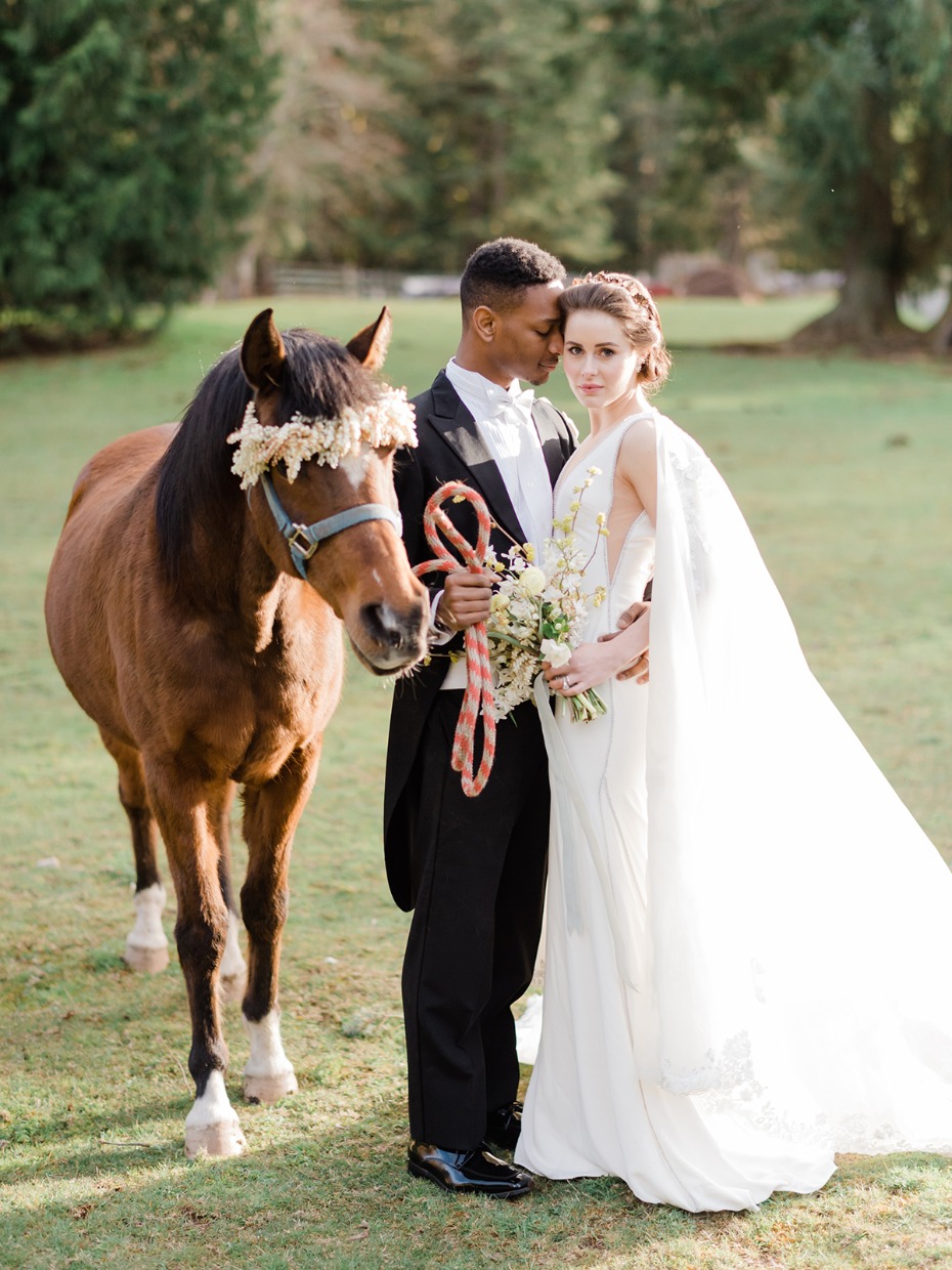 bride groom and wedding horse