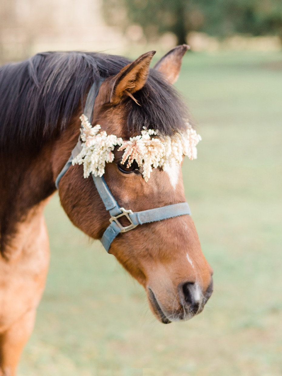 flower crown for your wedding horse
