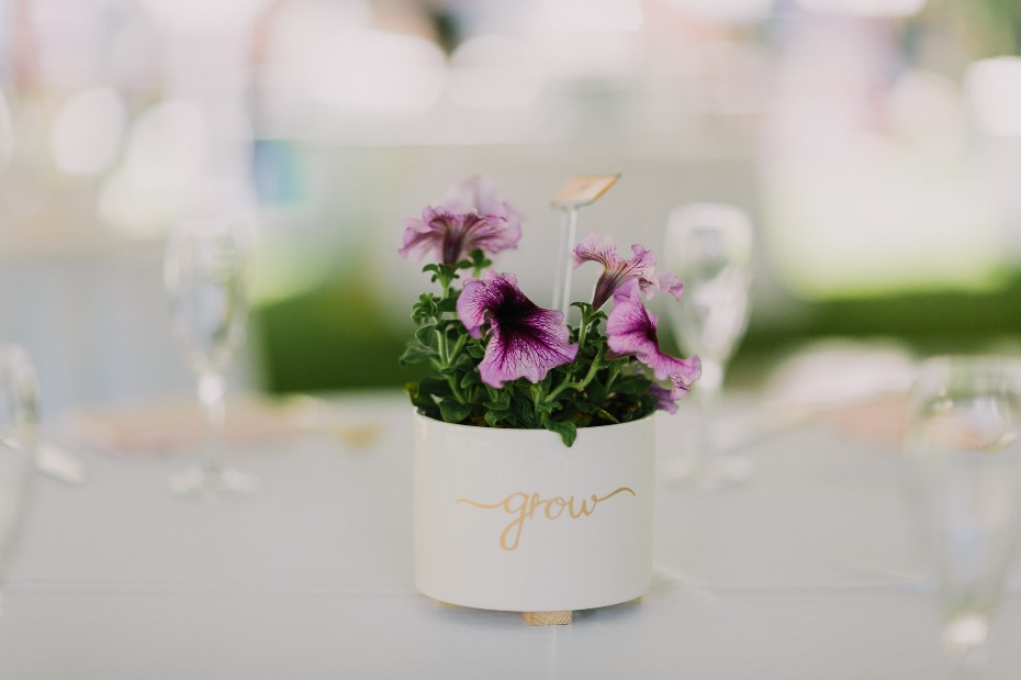 Purple flowers in a white pot with grow written on it