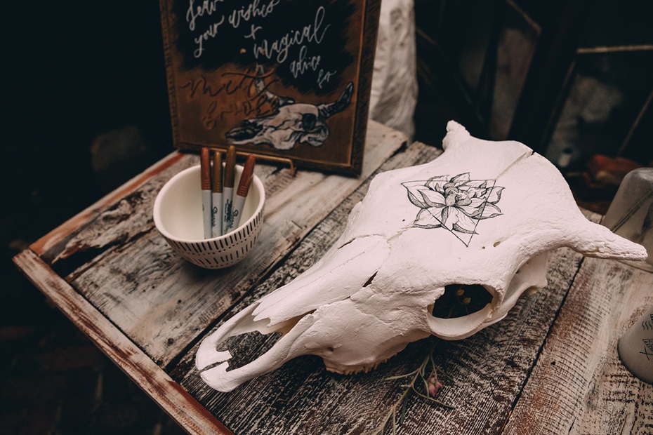 guestbook on cow skull