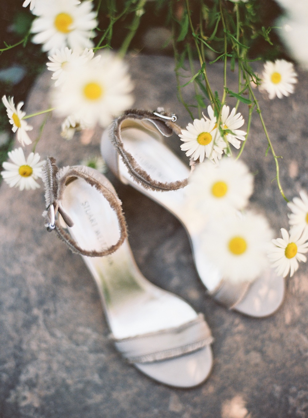 upscale-barn-wedding-at-the-peace-barn