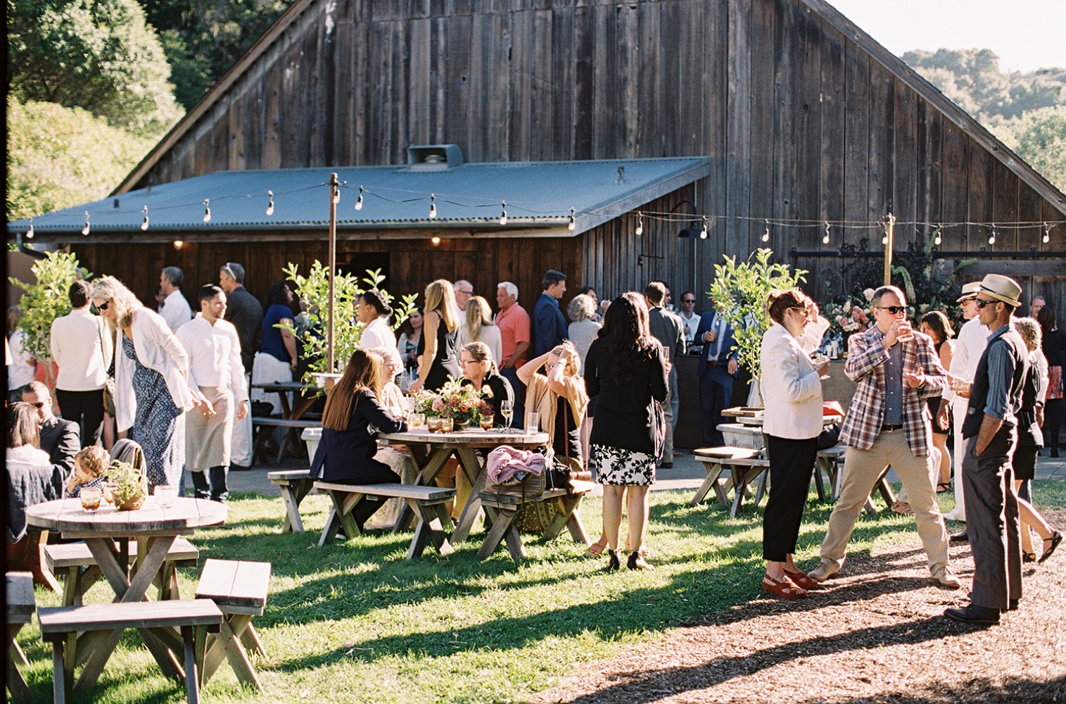 upscale-barn-wedding-at-the-peace-barn