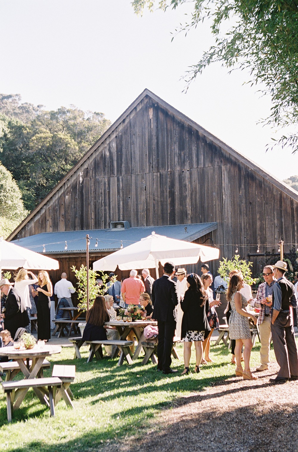 upscale-barn-wedding-at-the-peace-barn