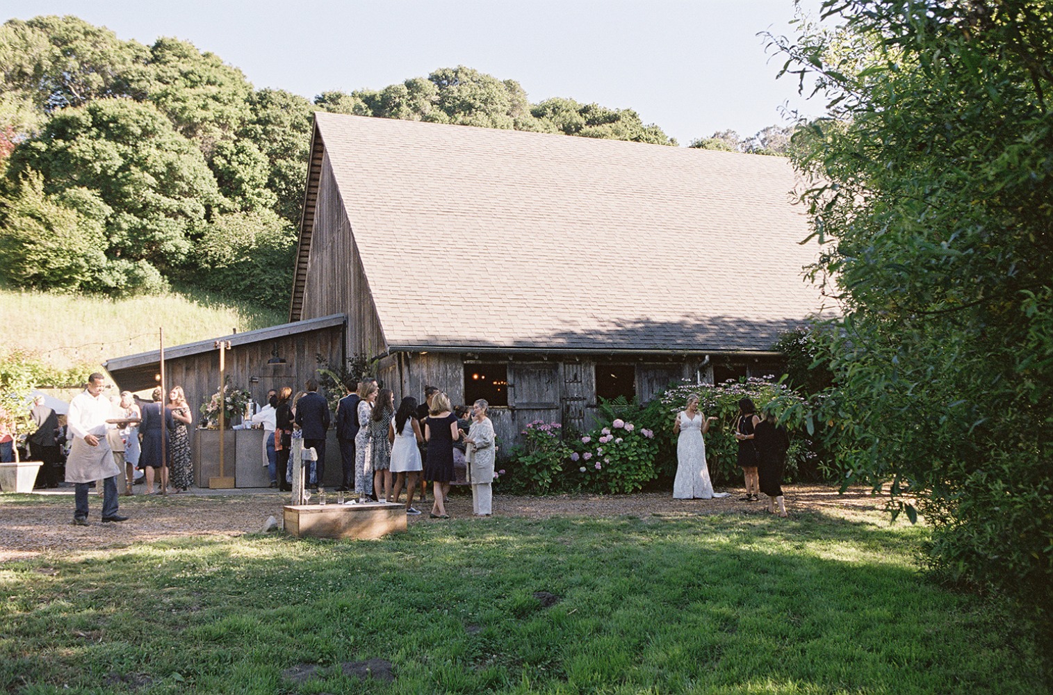 upscale-barn-wedding-at-the-peace-barn