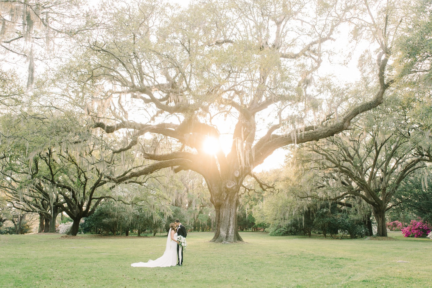 wedding-submission-from-aaron-and