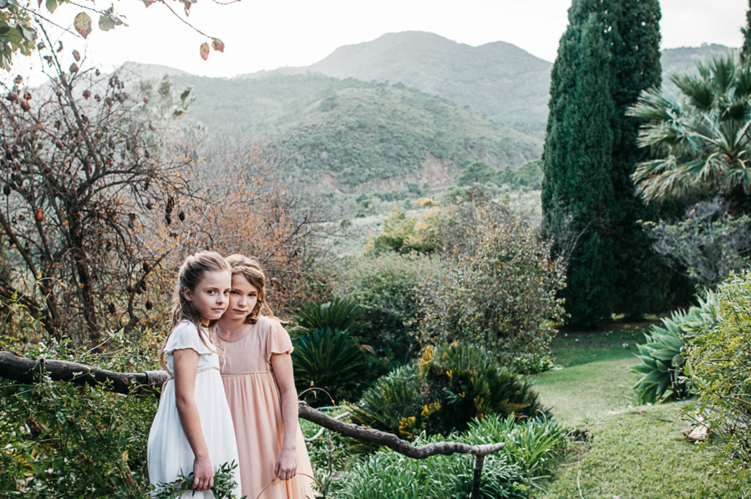 wedding-submission-from-butler-amp