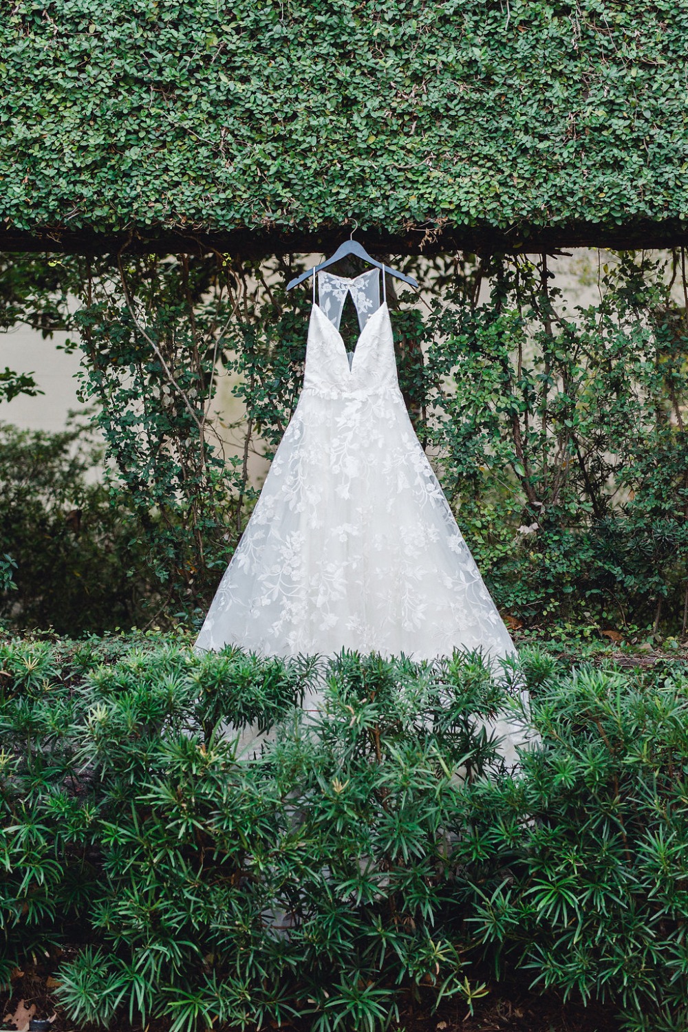 wedding-submission-from-ivory-_and_-beau