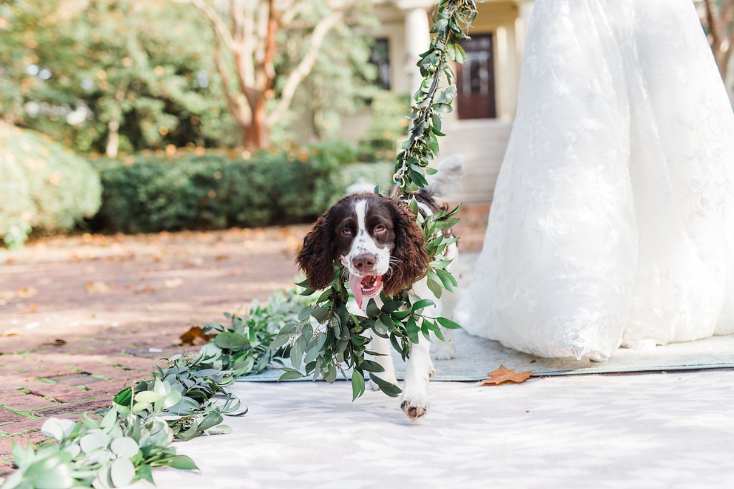 wedding-submission-from-ivory-_and_-beau