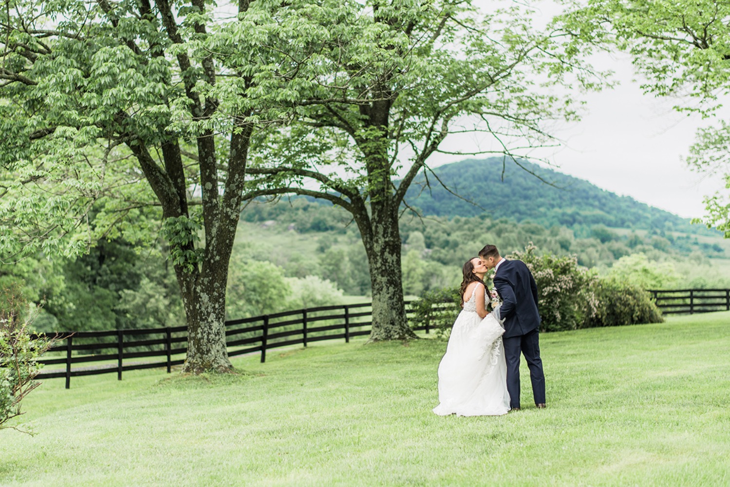 wedding-submission-from-morgan-wolfe