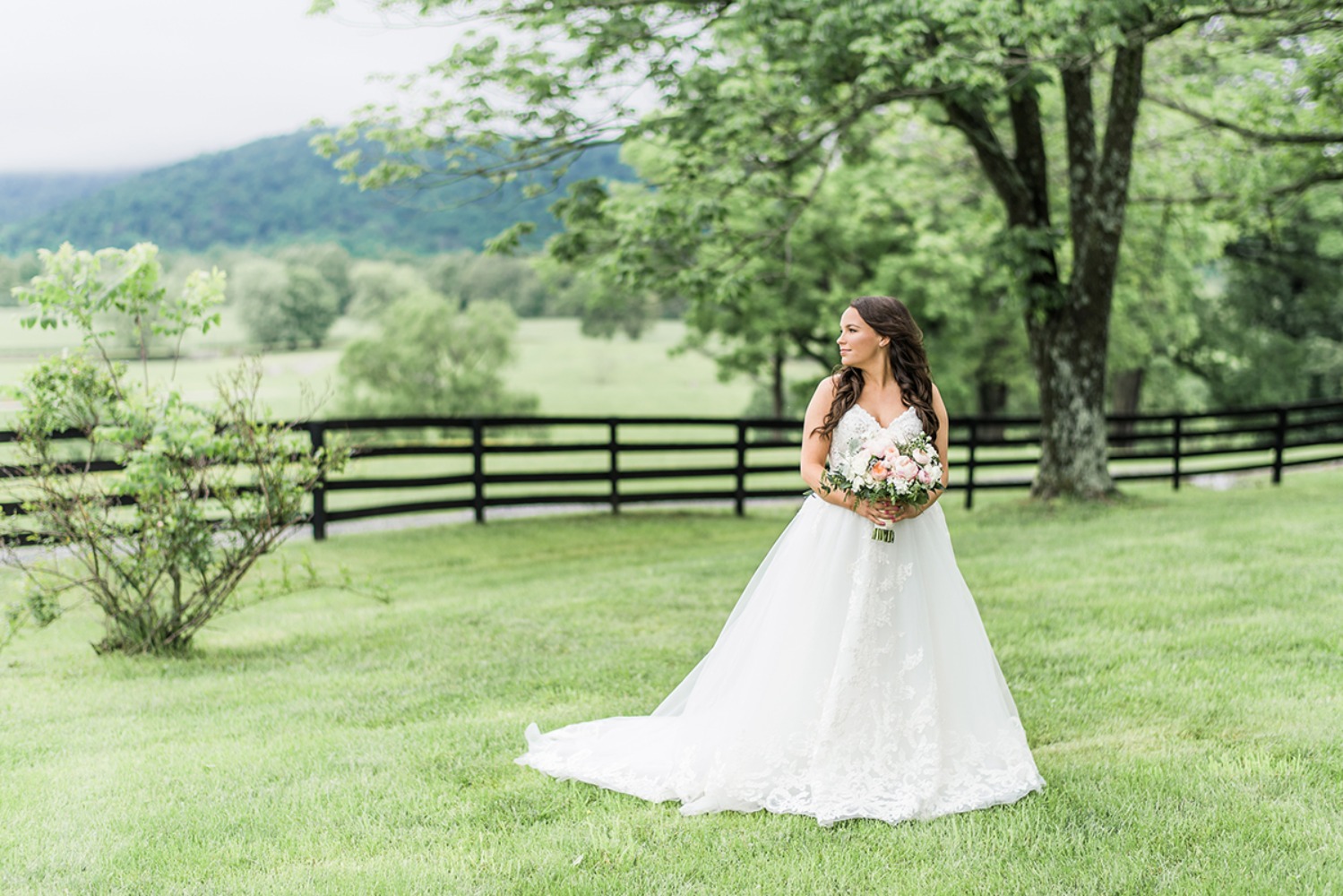 wedding-submission-from-morgan-wolfe