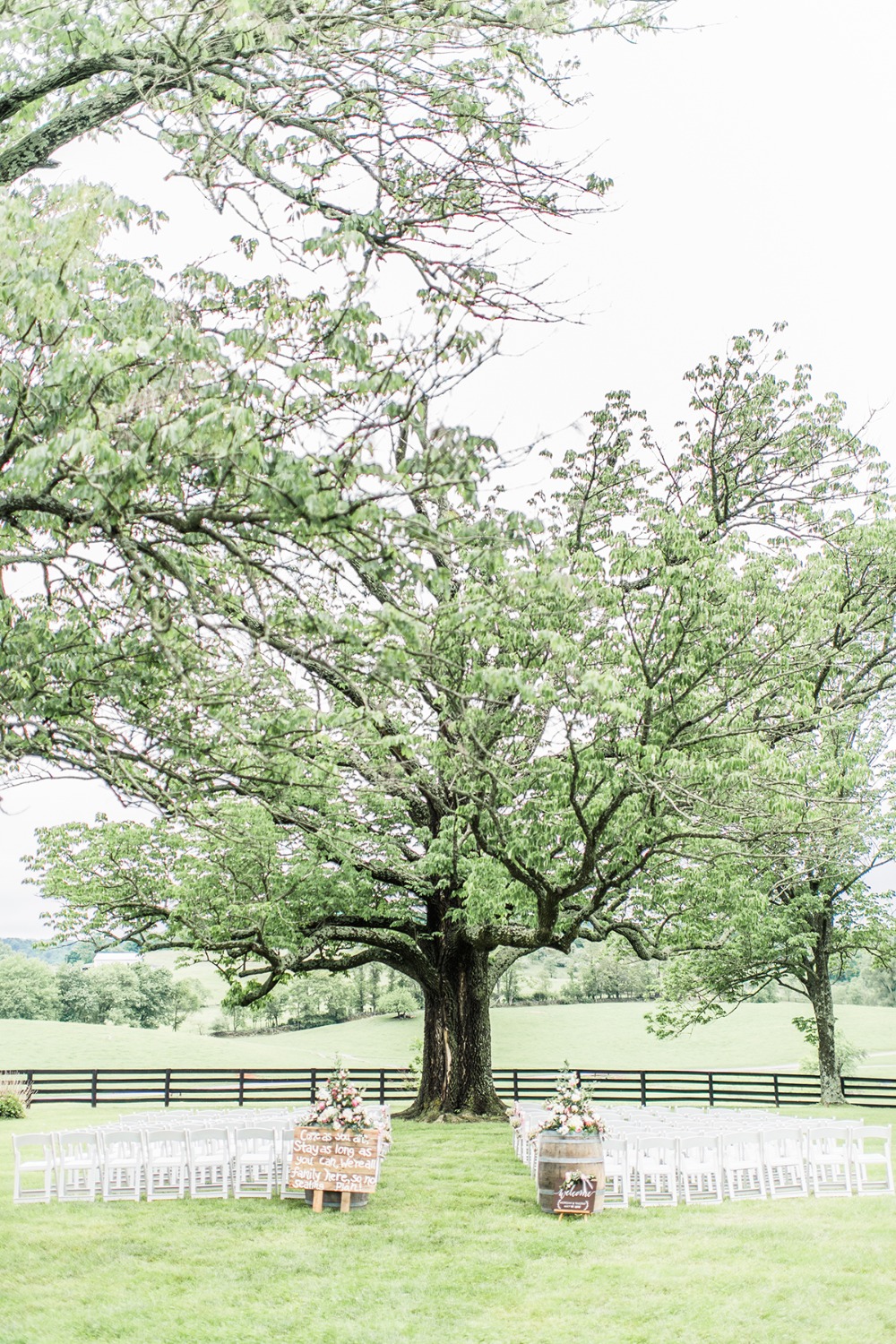 wedding-submission-from-morgan-wolfe