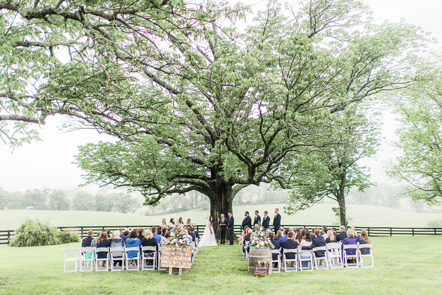 wedding-submission-from-morgan-wolfe