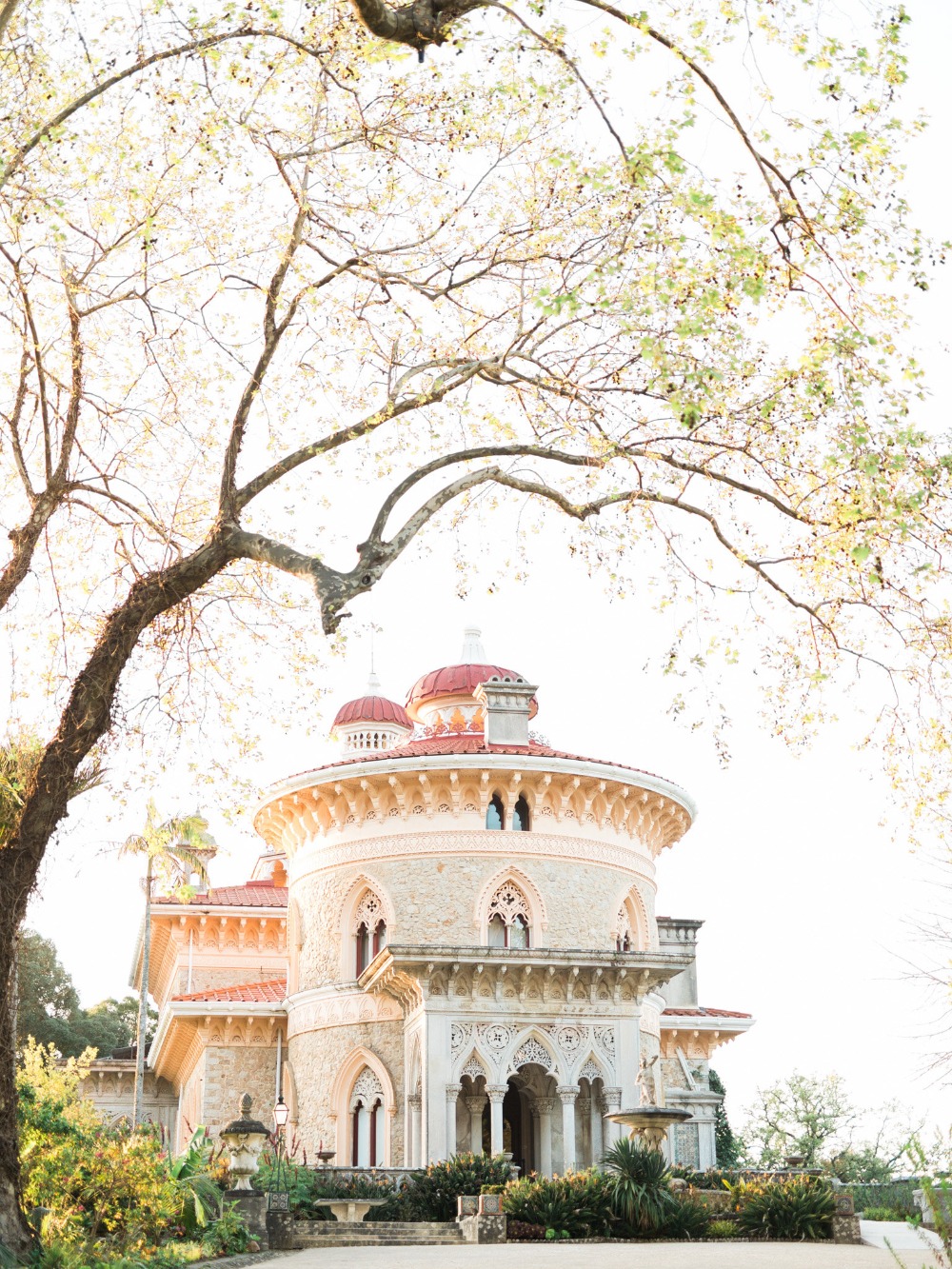 wedding-submission-from-ricardo-gon