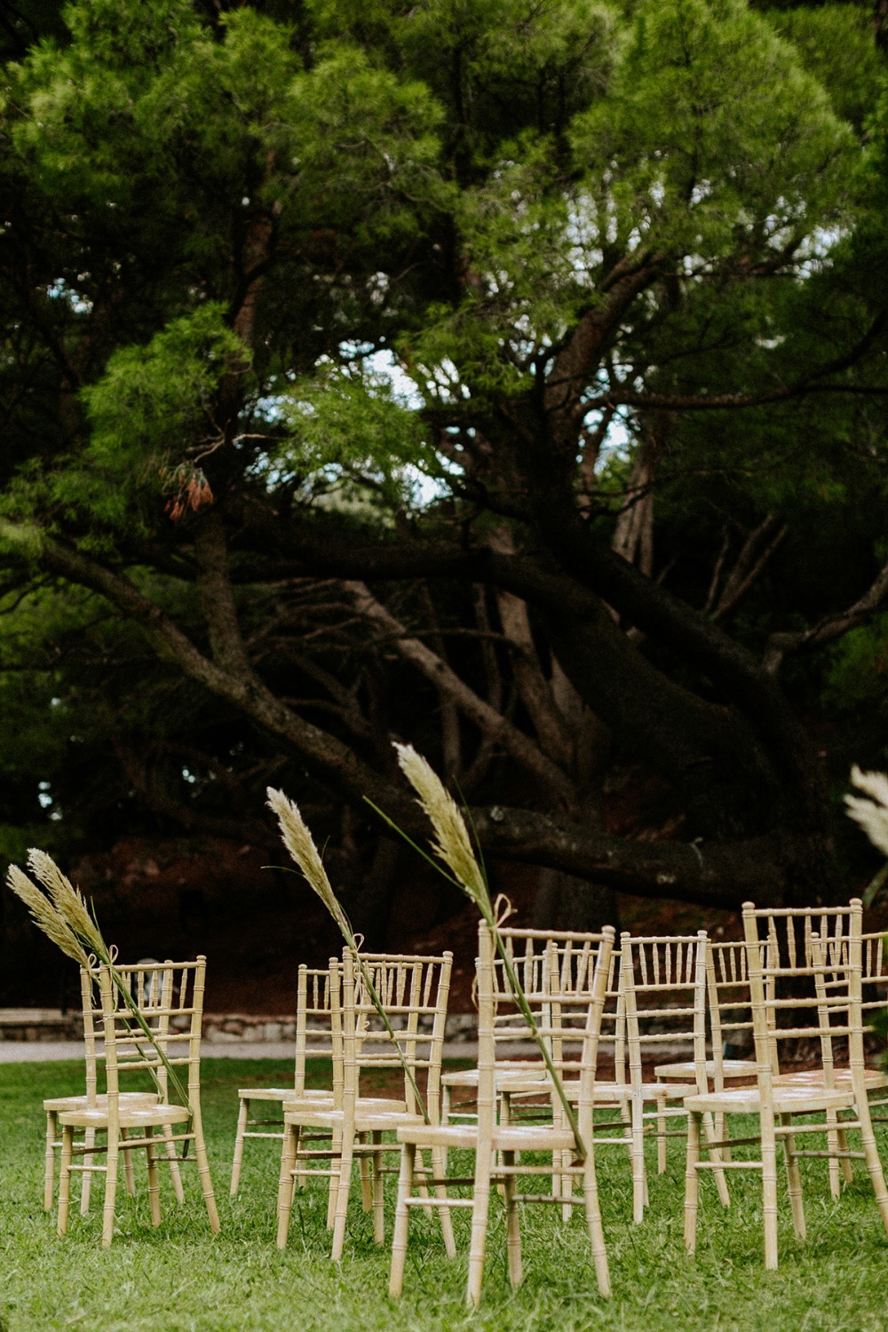 wedding-submission-from-shevtsovy
