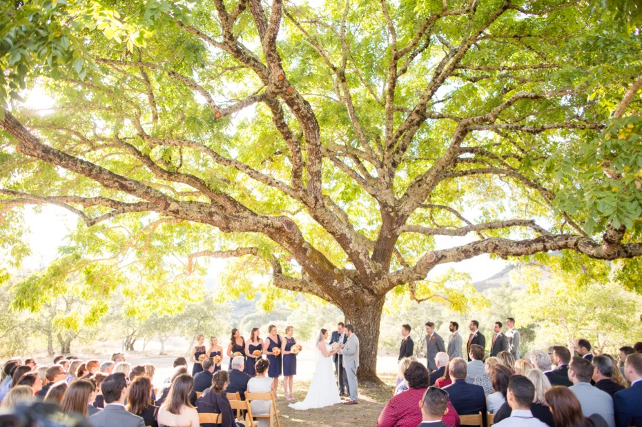 How to Wed Under a 175-Year-Old Walnut Tree in Calistoga California