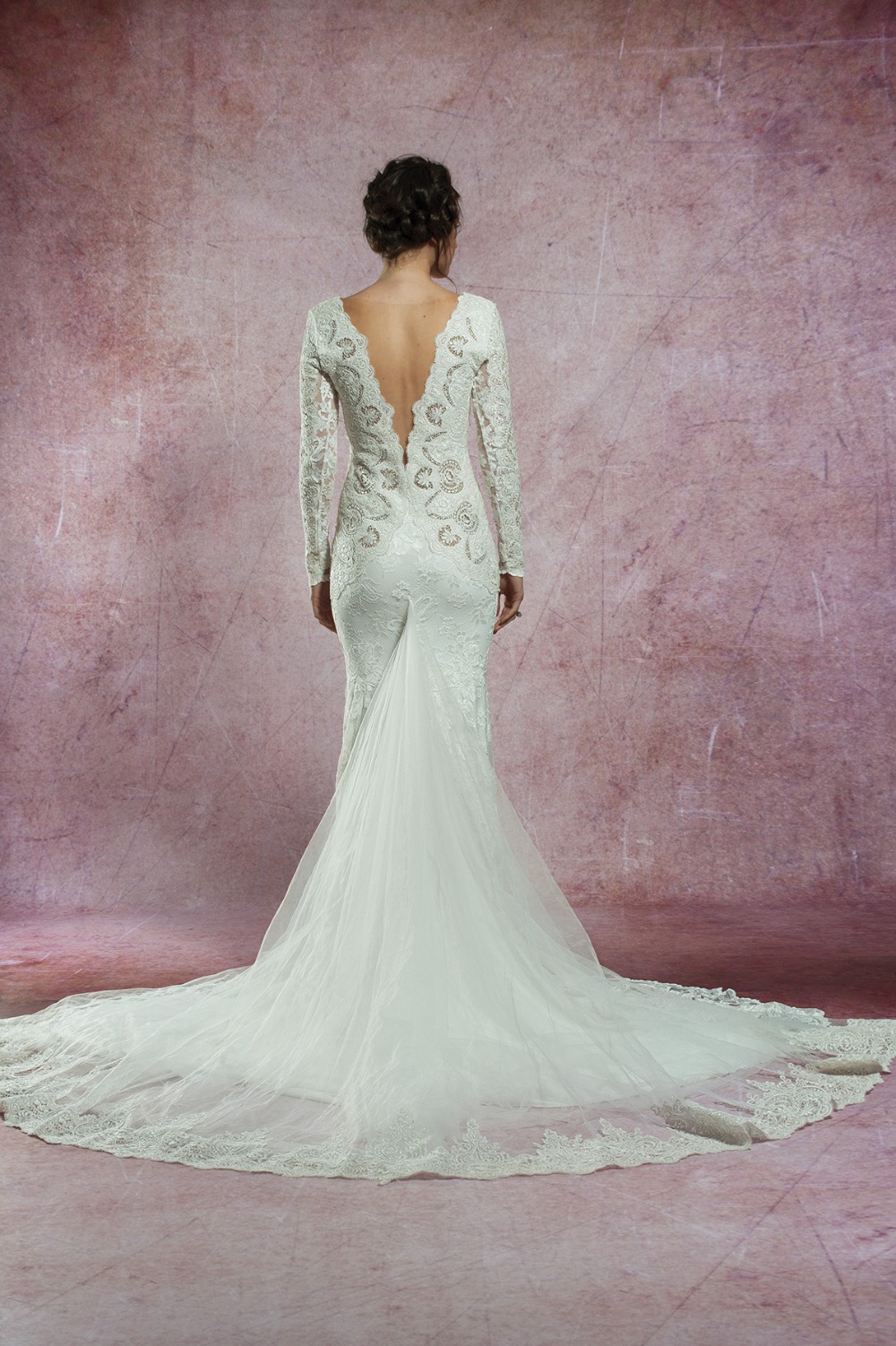 2495_back