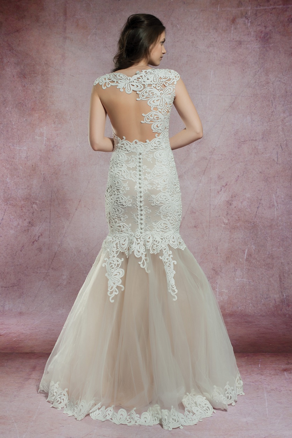 2497_back