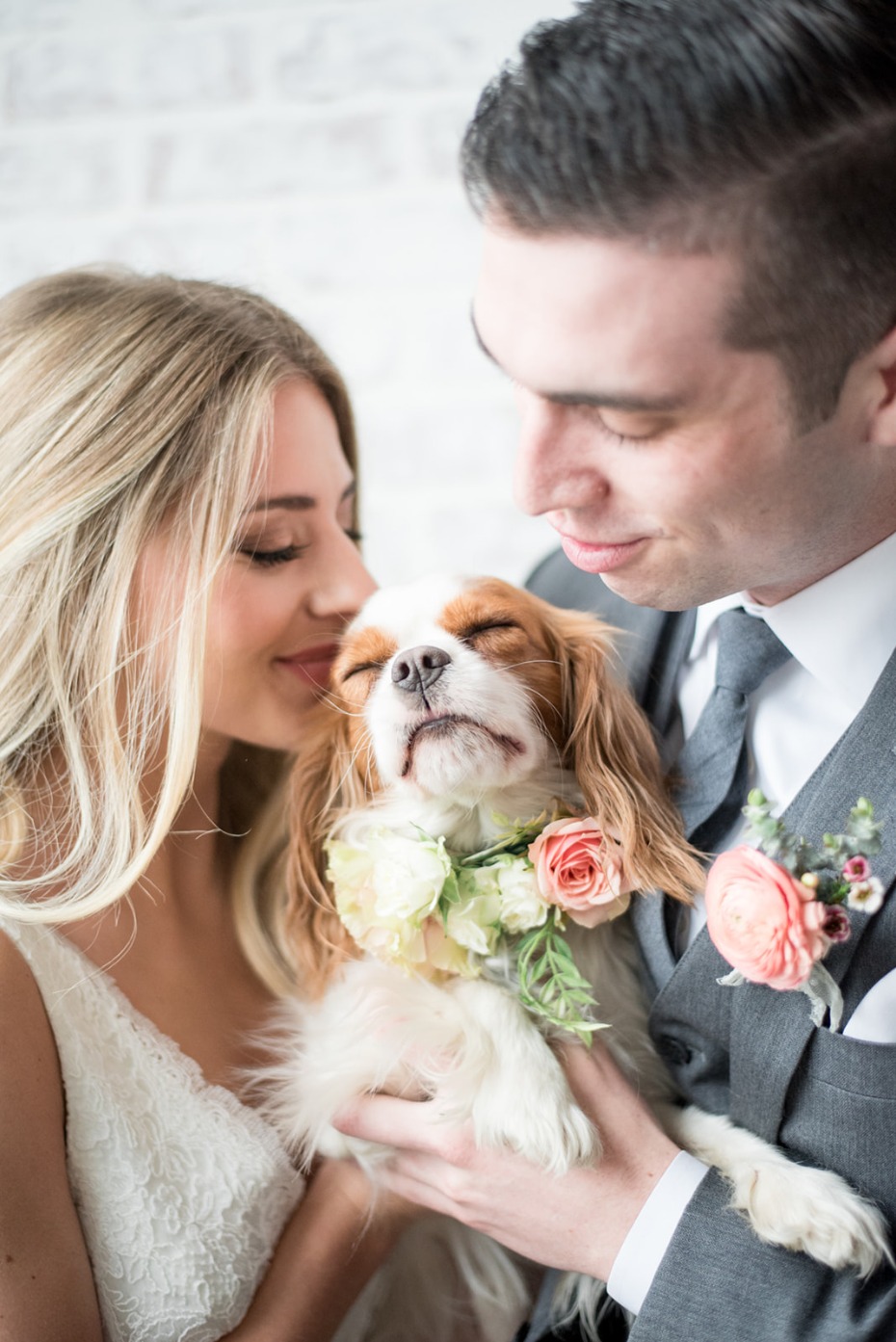 Wedding pup LOVE