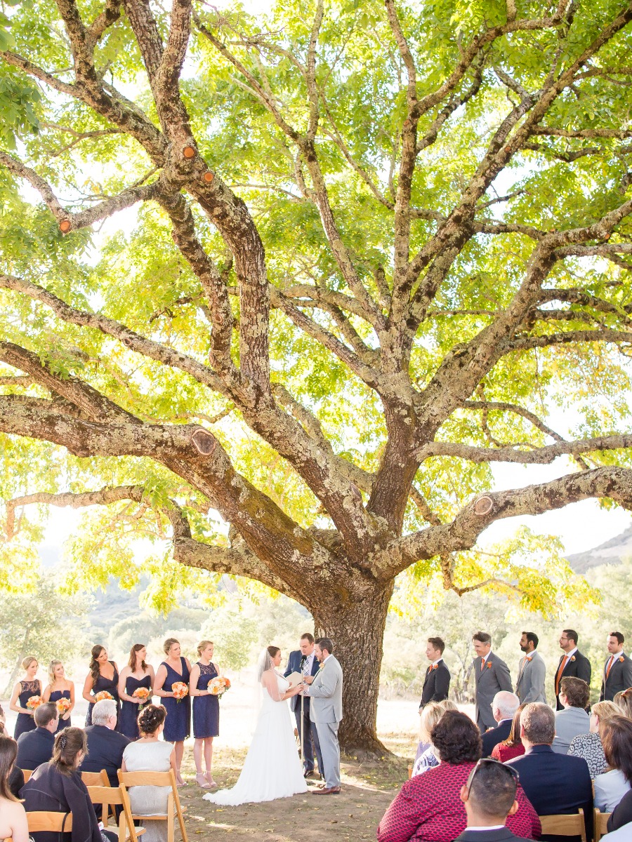 How to Wed Under a 175-Year-Old Walnut Tree in Calistoga