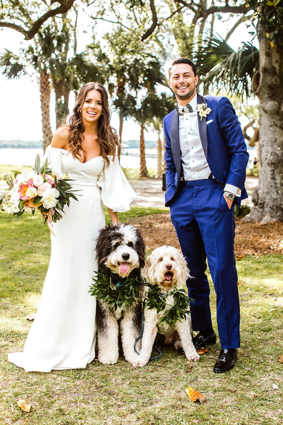 wedding dogs and ring bearers