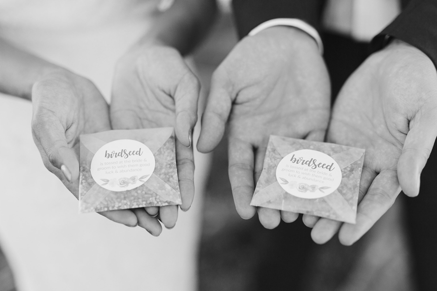 sarah-jual-photography