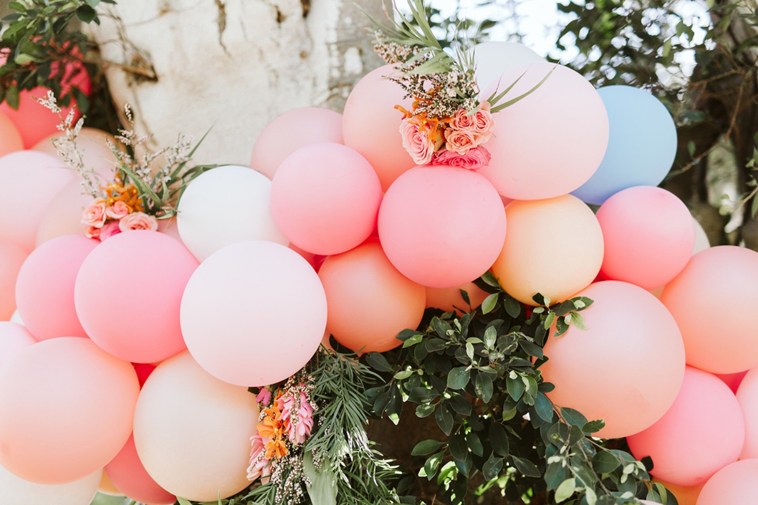 sarah-jual-photography