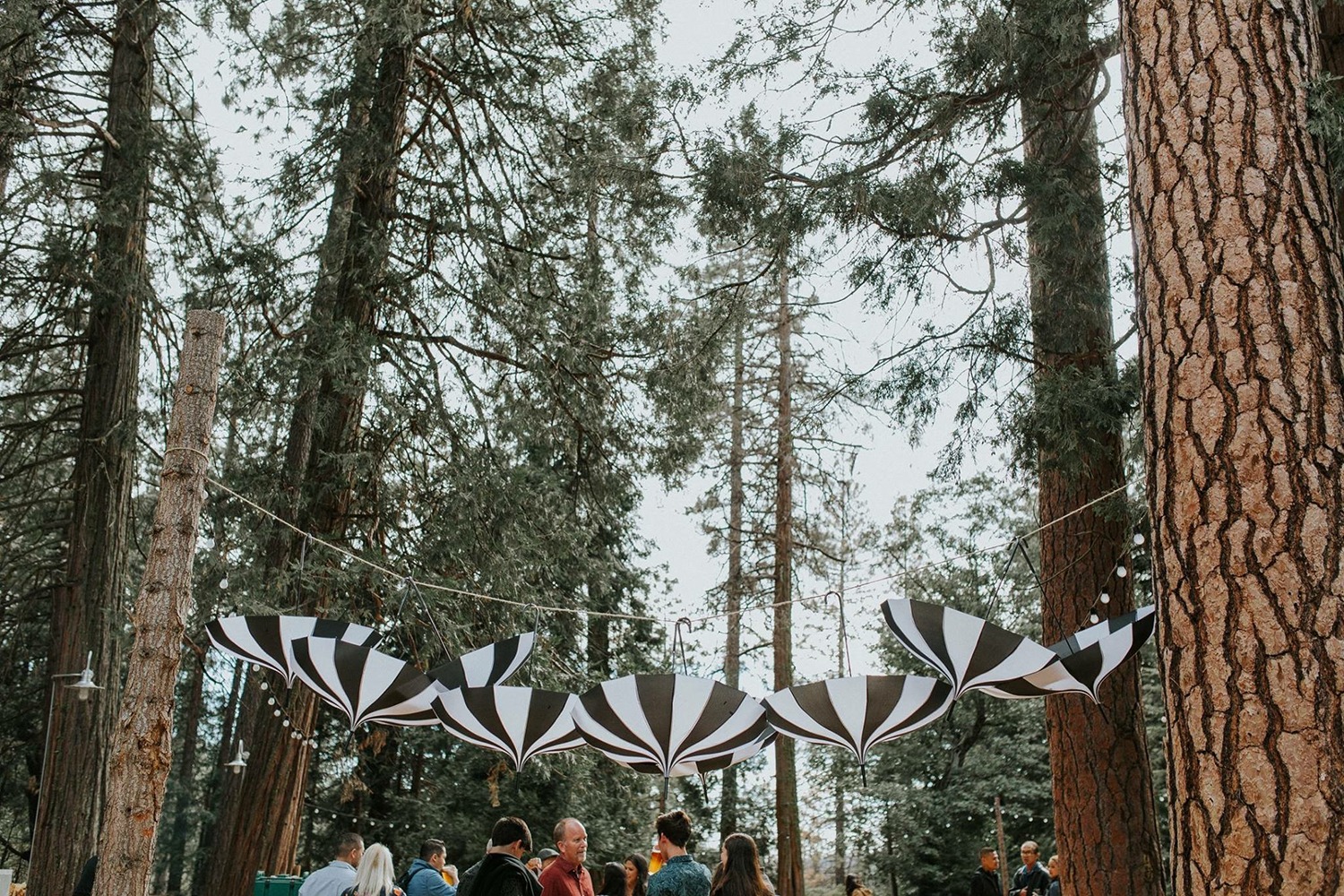 wedding-submission-from-tessa