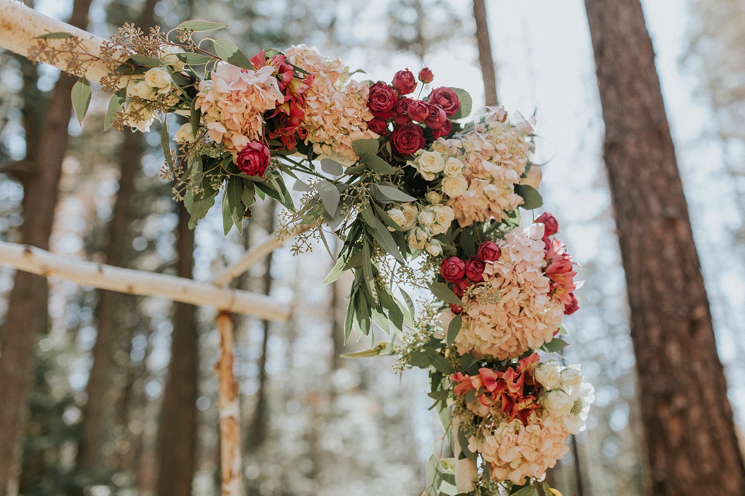 wedding-submission-from-tessa