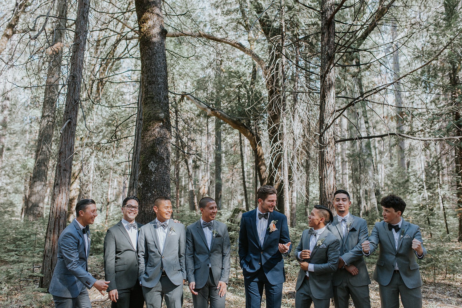 wedding-submission-from-tessa