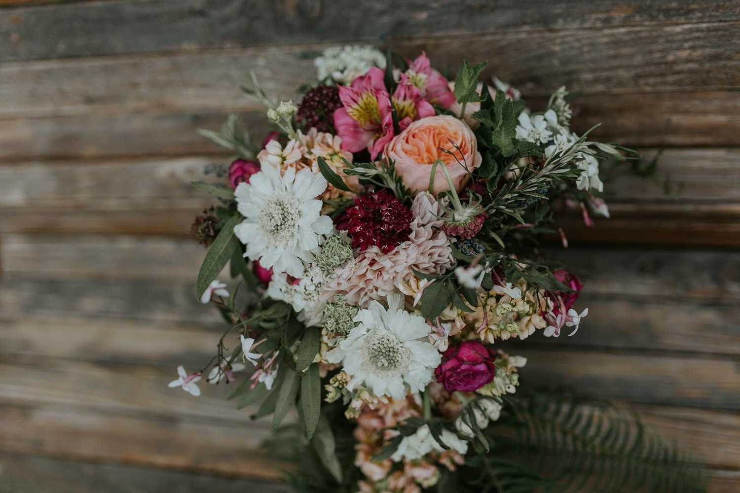 wedding-submission-from-tessa
