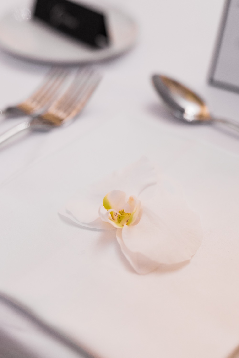 claire-morris-photography
