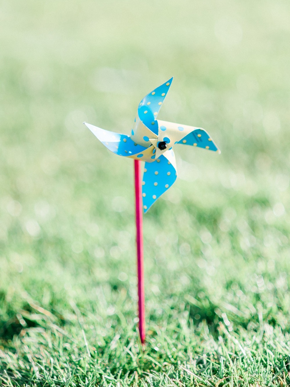 how-to-have-an-up-themed-surprise