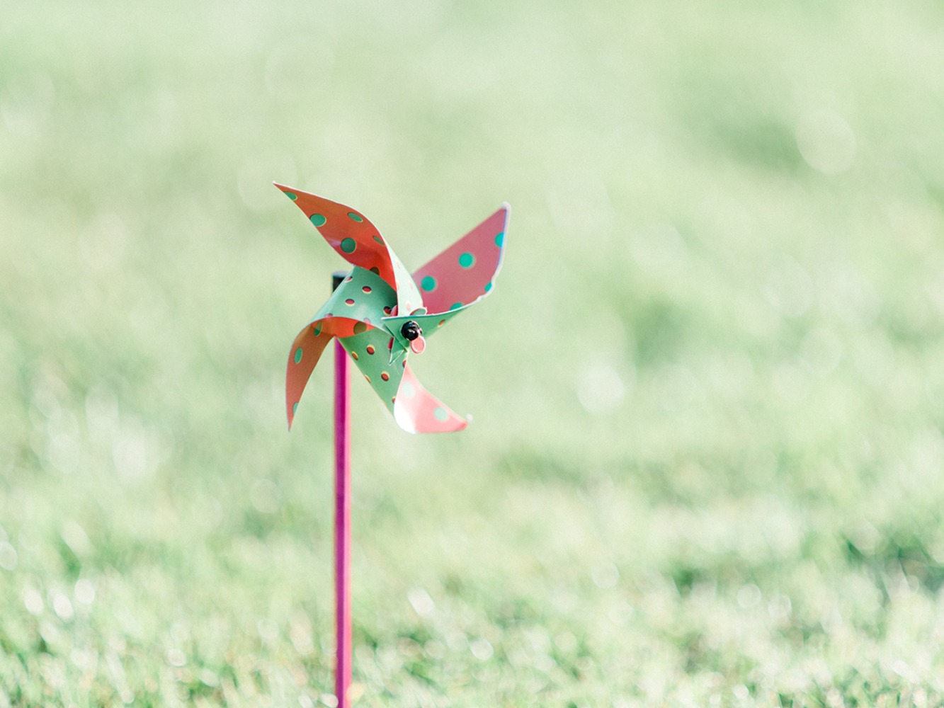 how-to-have-an-up-themed-surprise