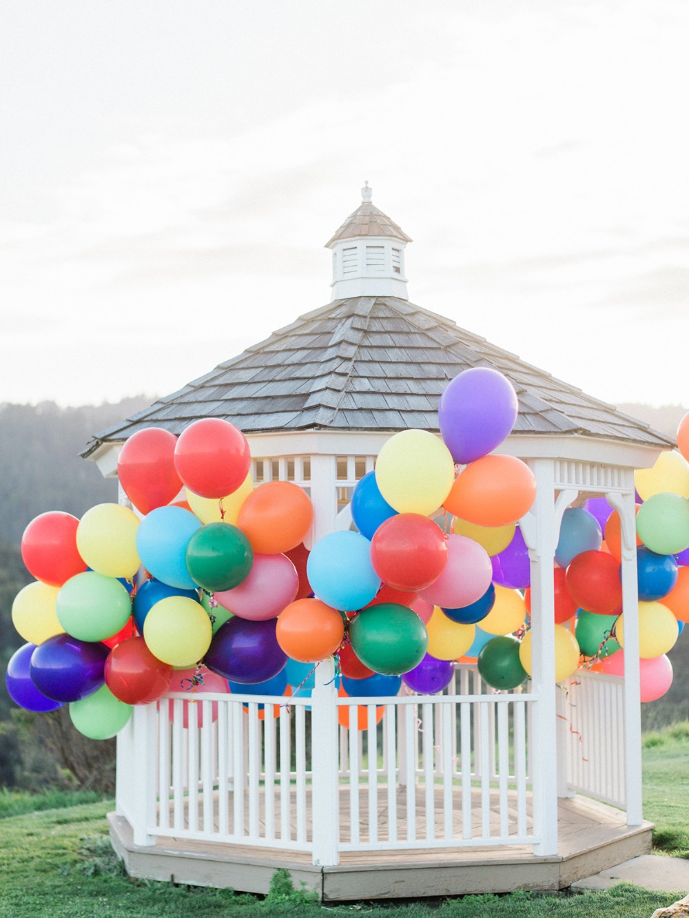 how-to-have-an-up-themed-surprise