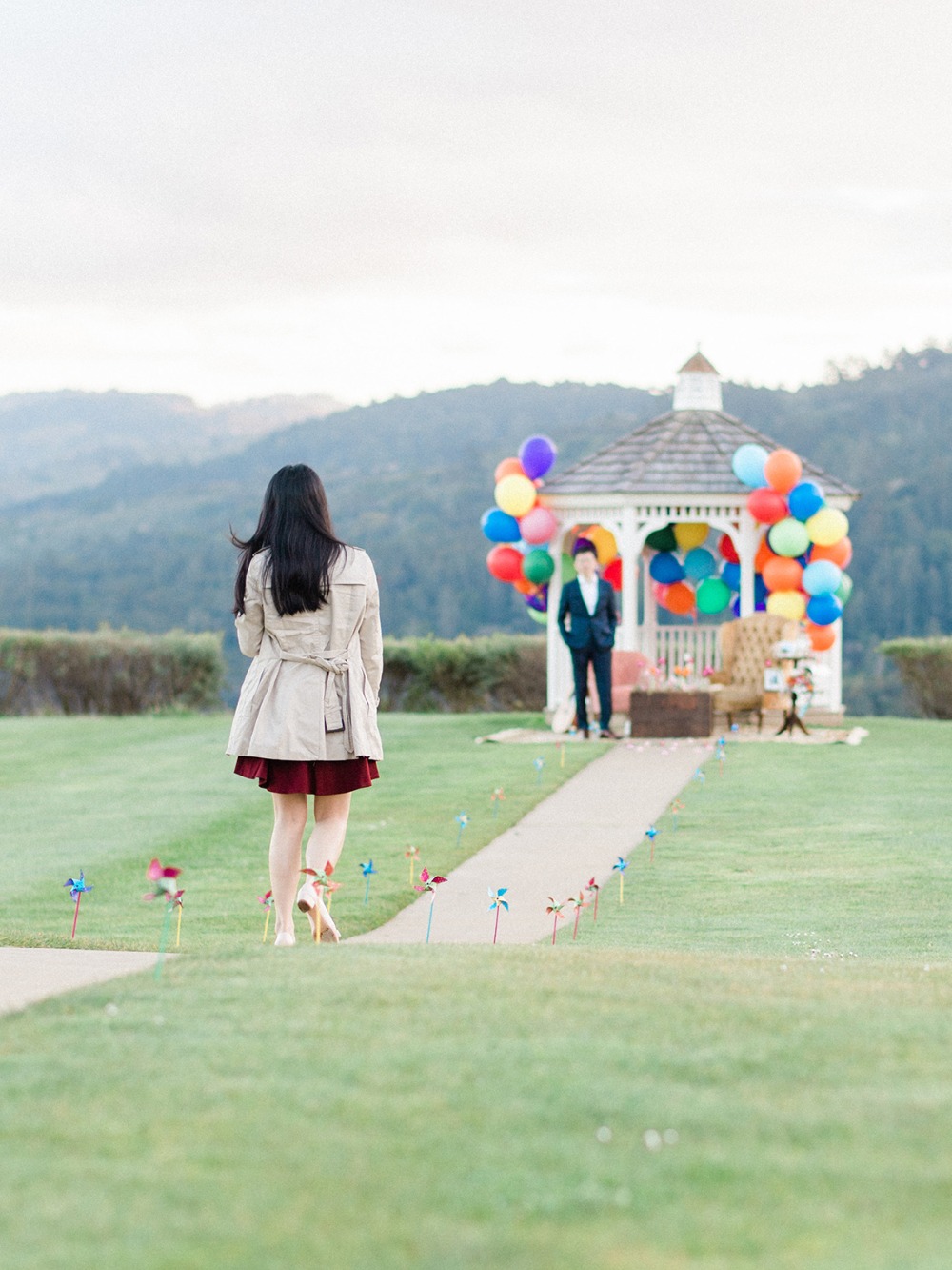 how-to-have-an-up-themed-surprise
