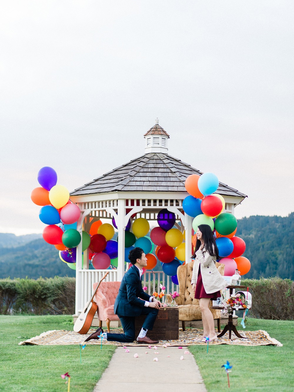 how-to-have-an-up-themed-surprise