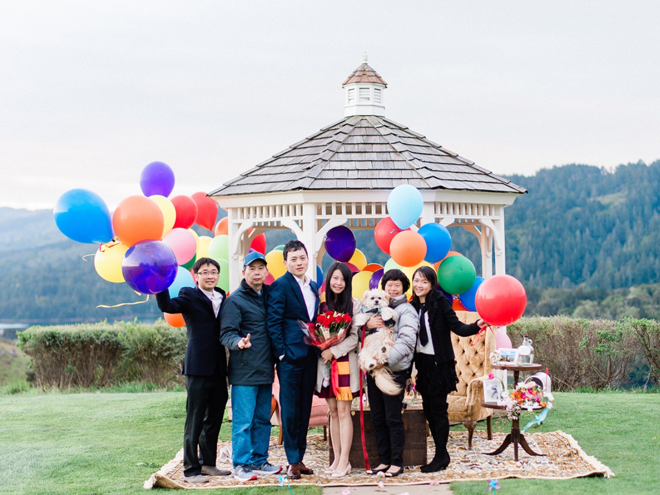 how-to-have-an-up-themed-surprise
