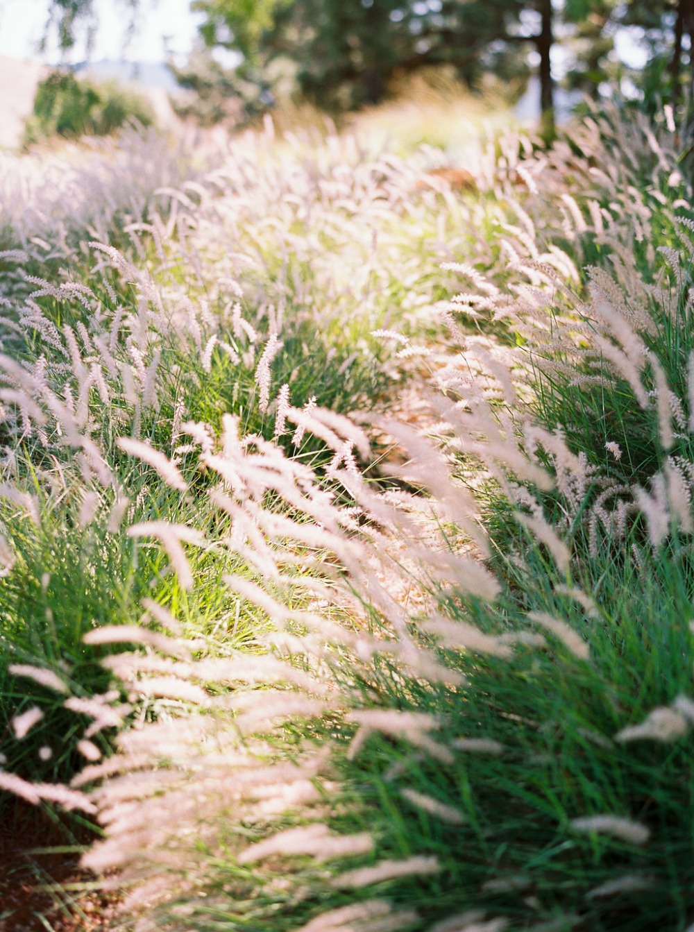 jen-rodriguez-photography