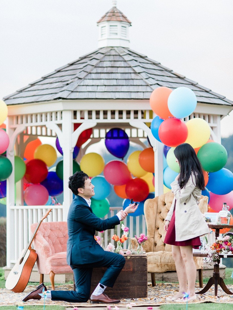 Up themed proposal